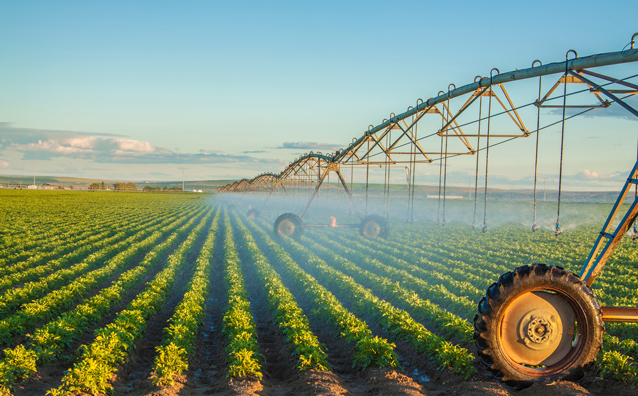 Vente de biens agricoles loués et non loués : la question du droit de préemption du fermier
